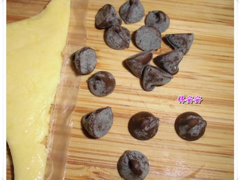 Q��èͷӥ���-�������ʹ�����ˮ�������͵�����