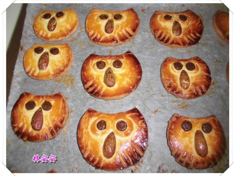 Q��èͷӥ���-�������ʹ�����ˮ�������͵�����