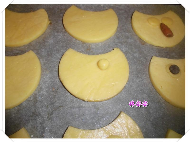 Q��èͷӥ���-�������ʹ�����ˮ�������͵�����