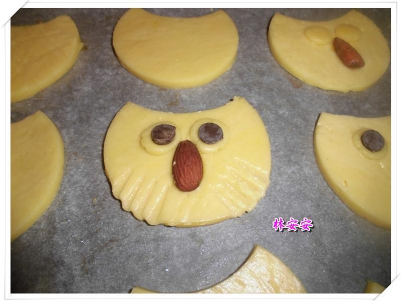 Q��èͷӥ���-�������ʹ�����ˮ�������͵�����