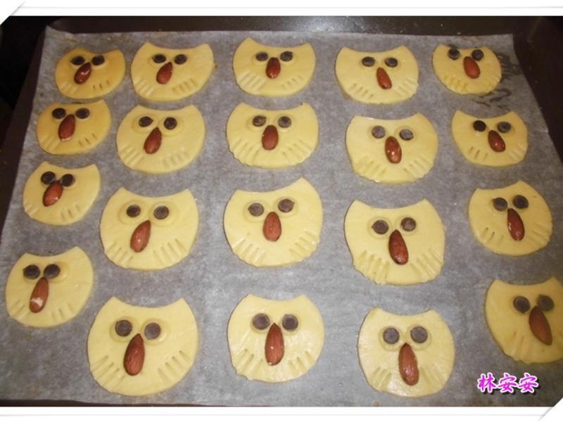 Q��èͷӥ���-�������ʹ�����ˮ�������͵�����