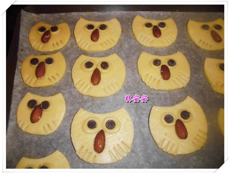 Q��èͷӥ���-�������ʹ�����ˮ�������͵�����