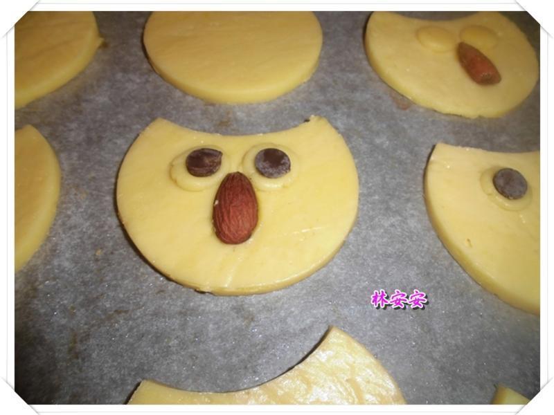 Q��èͷӥ���-�������ʹ�����ˮ�������͵�����