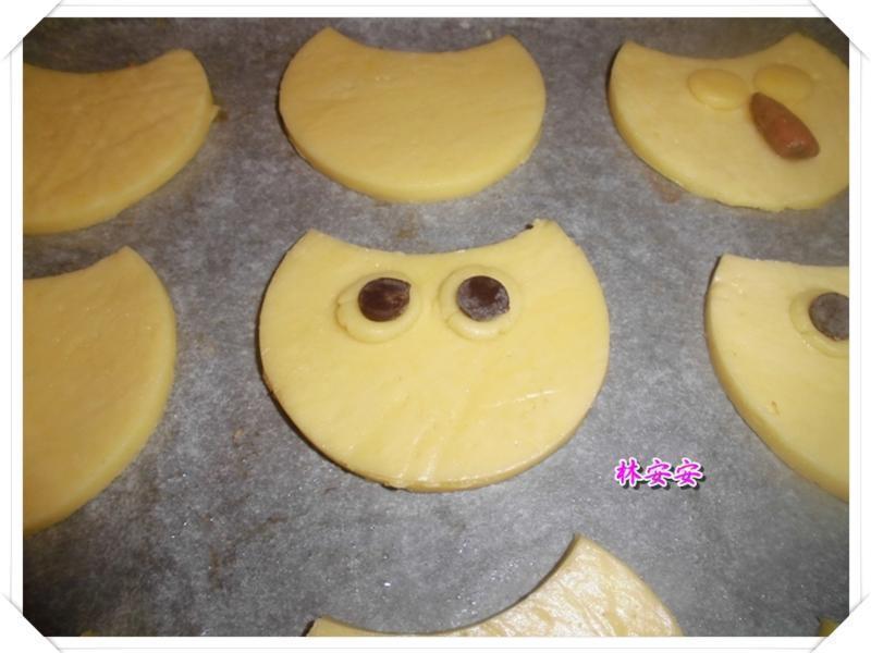 Q��èͷӥ���-�������ʹ�����ˮ�������͵�����