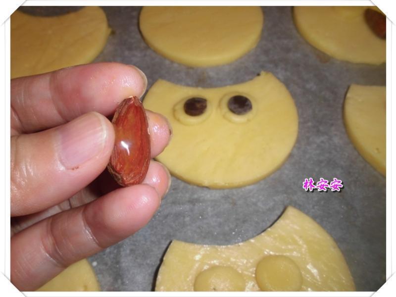 Q��èͷӥ���-�������ʹ�����ˮ�������͵�����