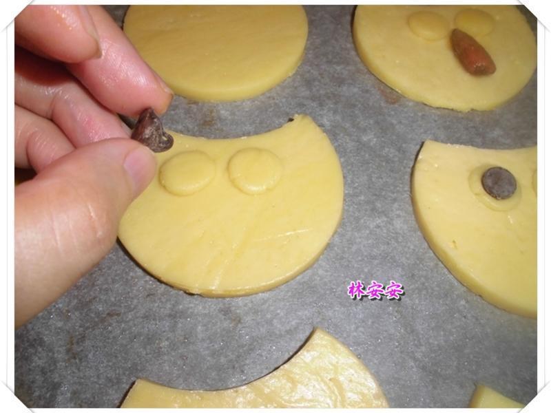 Q��èͷӥ���-�������ʹ�����ˮ�������͵�����