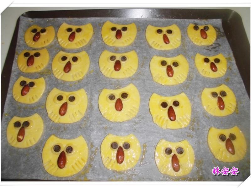 Q��èͷӥ���-�������ʹ�����ˮ�������͵�����