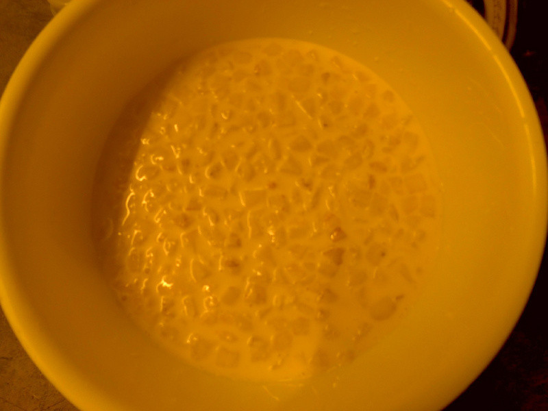 ը����������