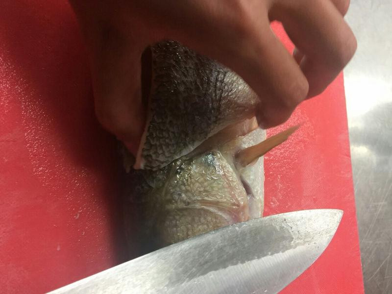 �����Ÿ�����������������