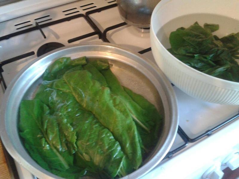 ţ������˾�������