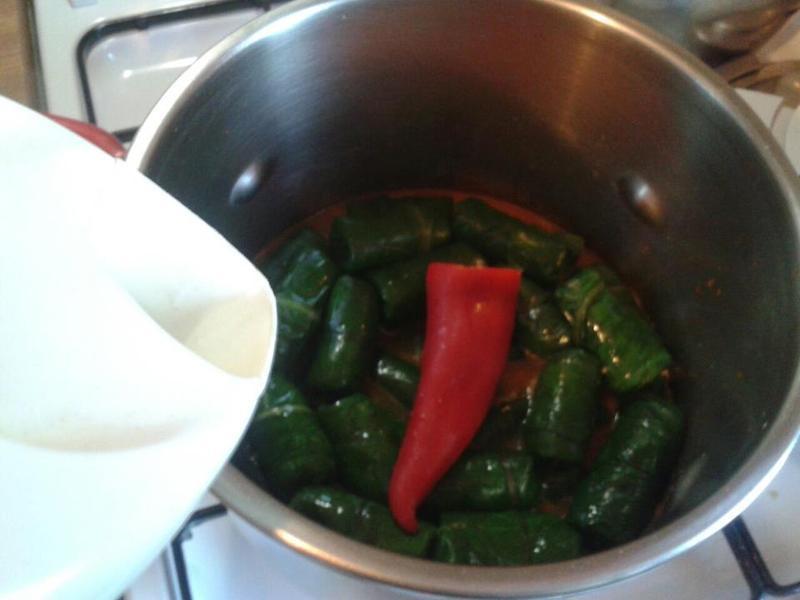 ţ������˾�������