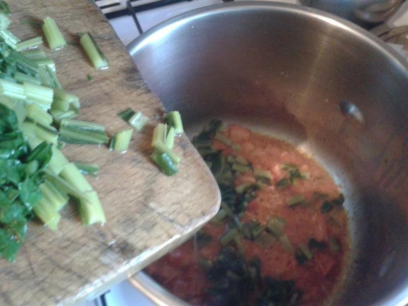 ţ������˾�������