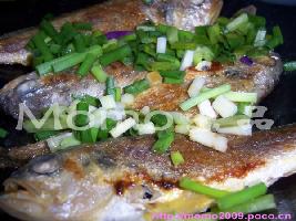 ����С�������