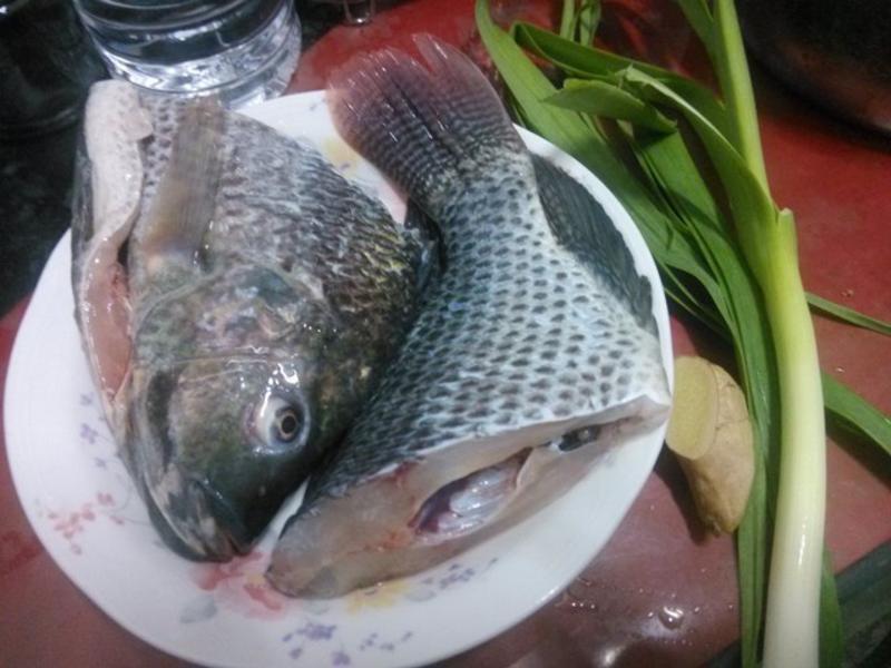 ̨����������������