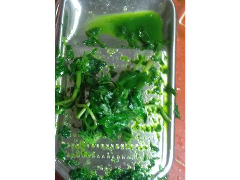 ���ɳ����������