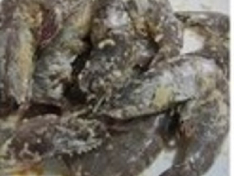 [�����һ�������] ����Ϻ������