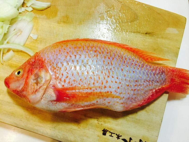 ��ʽˮ���������������