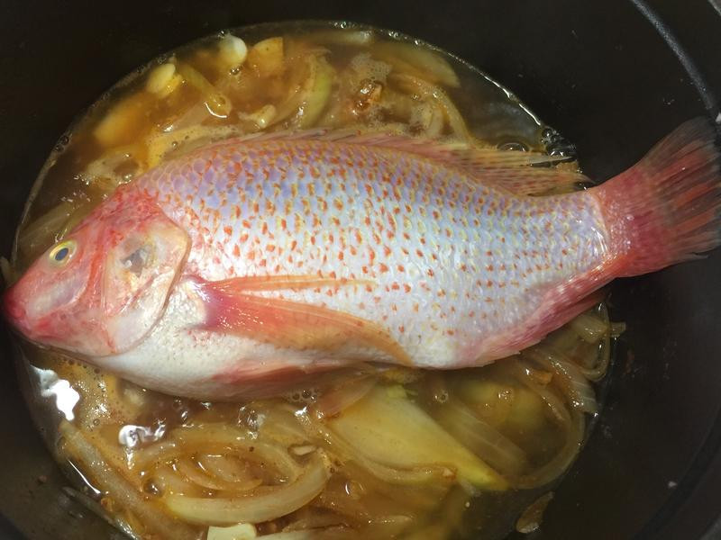 ��ʽˮ���������������