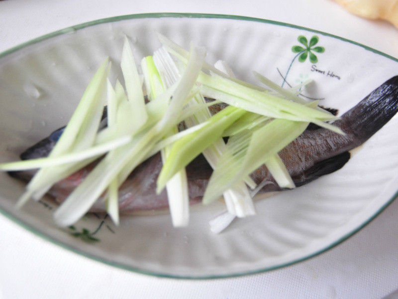 ���۹���������ë������