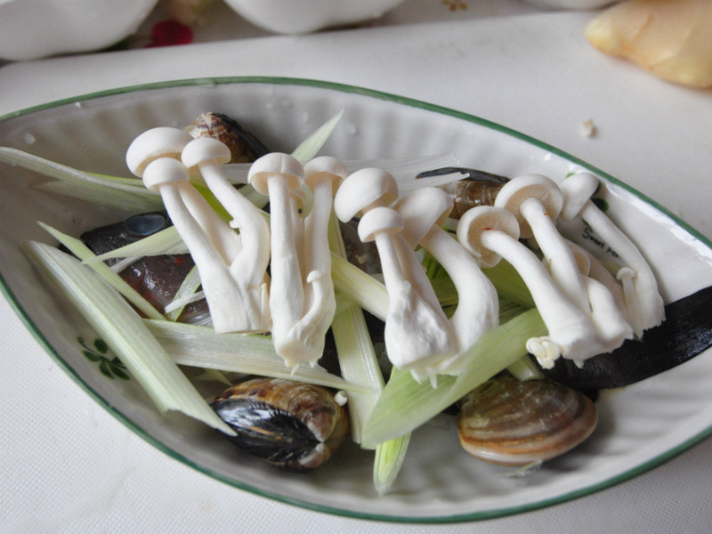 ���۹���������ë������