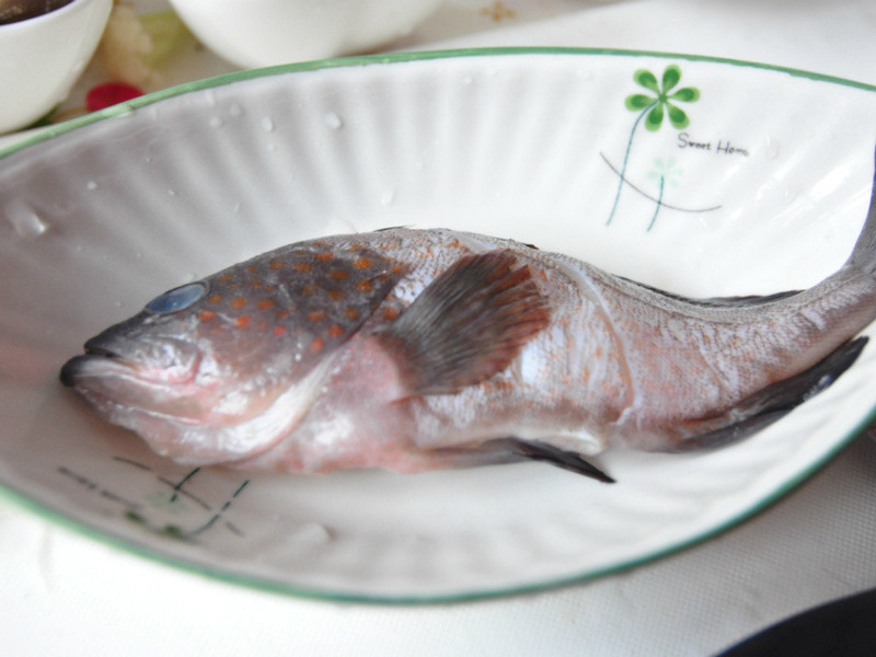 ���۹���������ë������