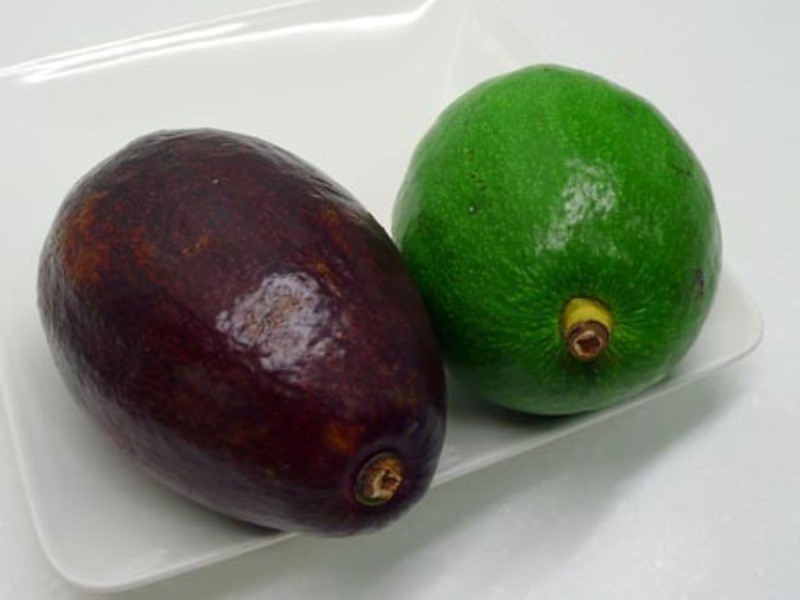 ��ʽ����ɳ�� ?ˮ��ɳ��10?������