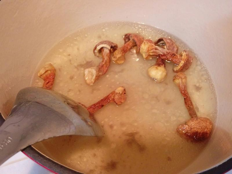 ����Ģ���ܲ��Ź���������