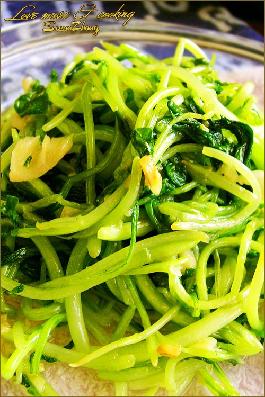 ���׼�ë�˵�����