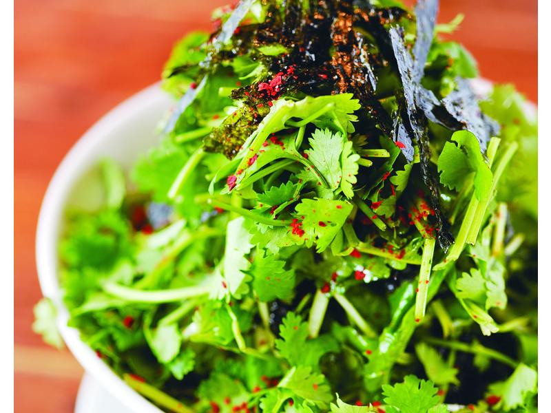 ը�����ɳ��������