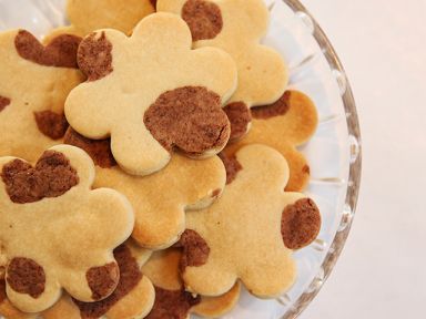 ��ţ���������