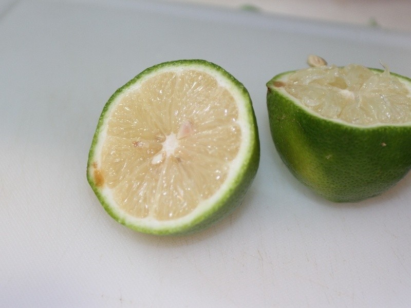 ͸������������֭������