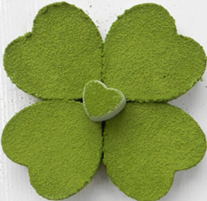 ��Ҷ��Ĩ��Ľ˹���������