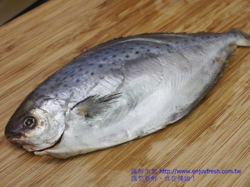 ��5���ӵĺ������������������������