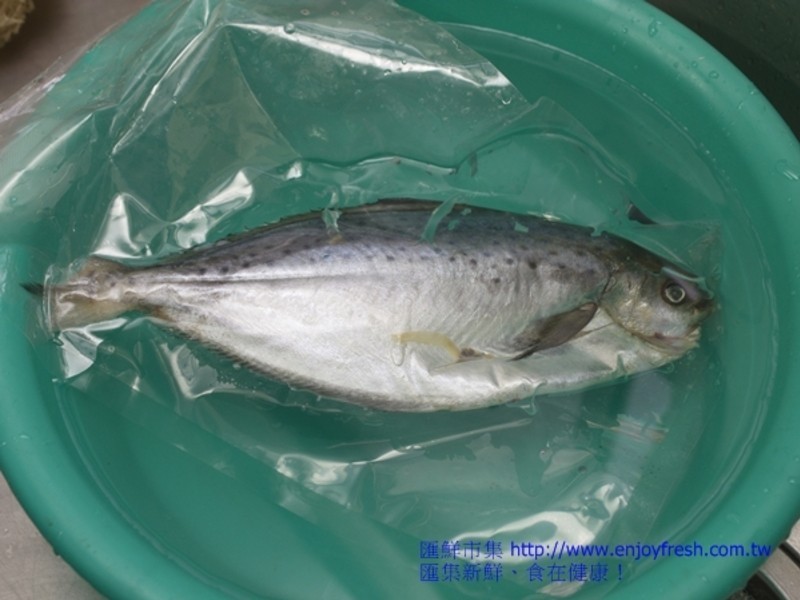 ��5���ӵĺ������������������������