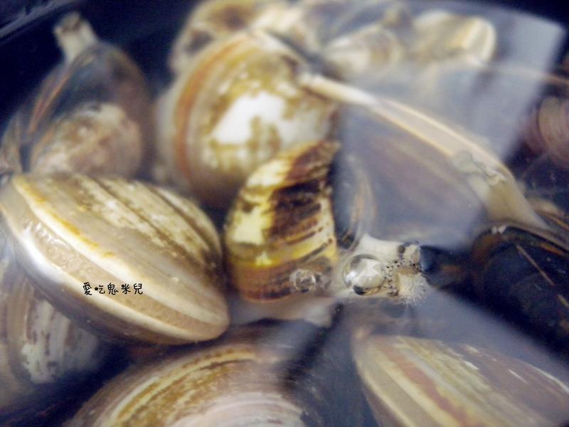 ��ʽˮ����Acqua Pazza������