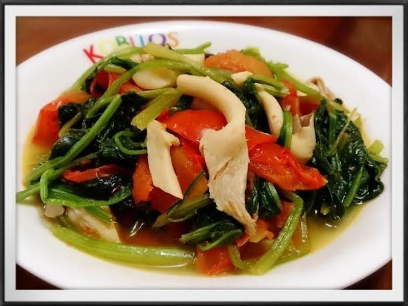 �ʹ���ެ�Ѳ��˵�����