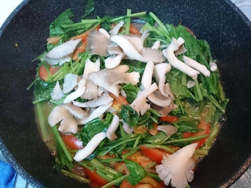 �ʹ���ެ�Ѳ��˵�����