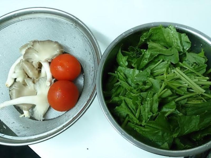 �ʹ���ެ�Ѳ��˵�����