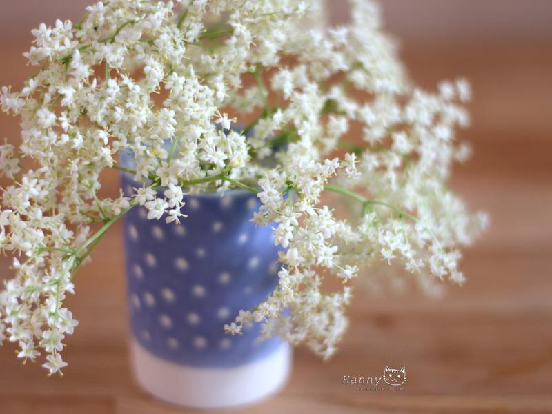 �𻨷��۶�������