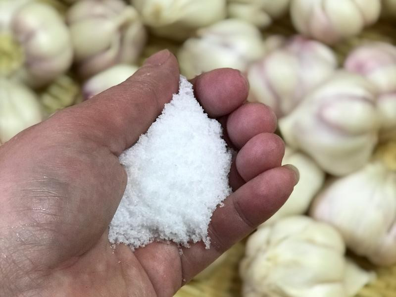 �Z�Ʊ������������