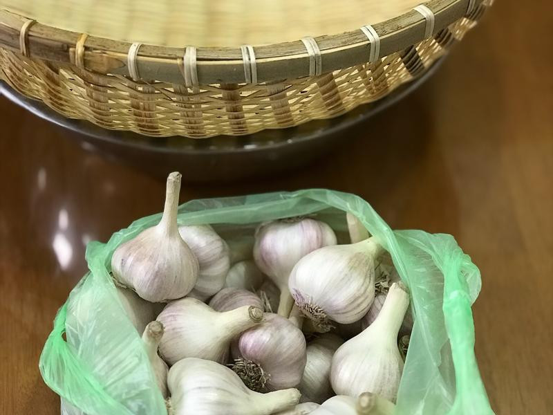 �Z�Ʊ������������