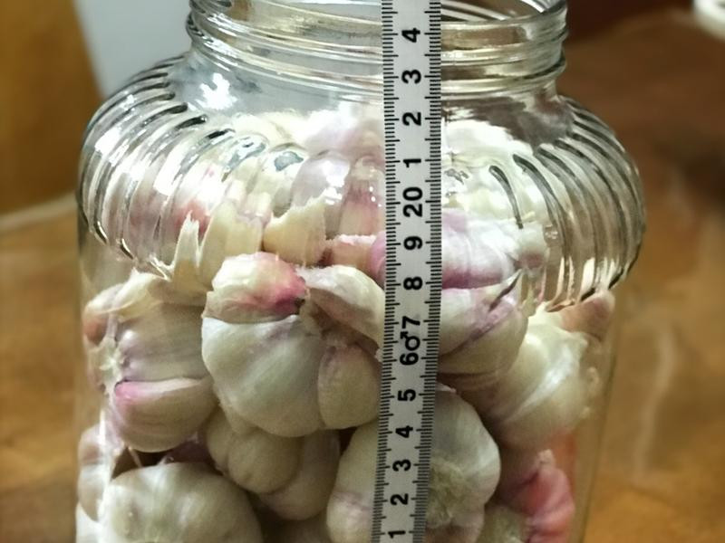 �Z�Ʊ������������