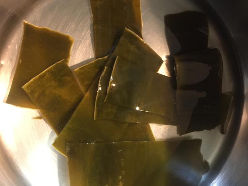 �����߲��Ź���������