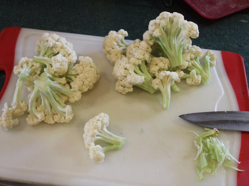 ��Ҭ�˳���������