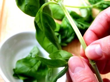 ��������۵�����