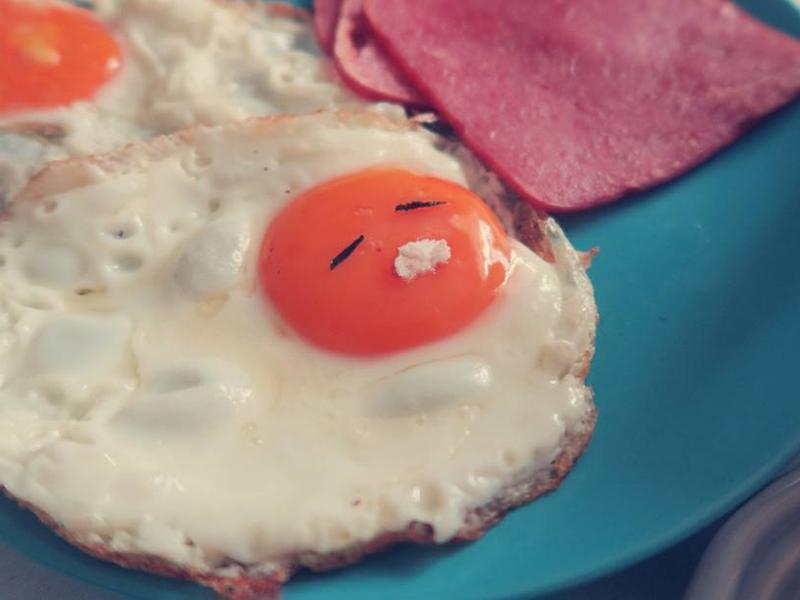 ����ϵ��͵�����