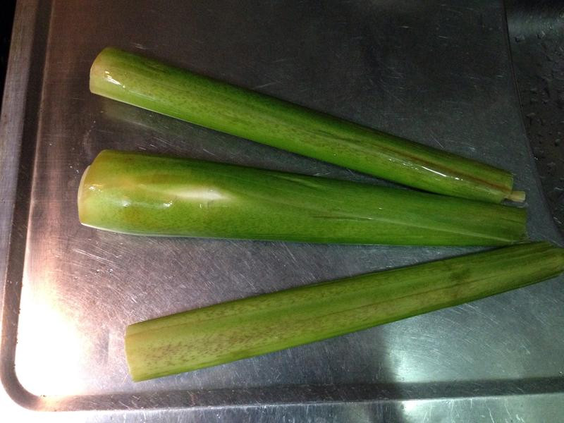 �°�������ɳ��������