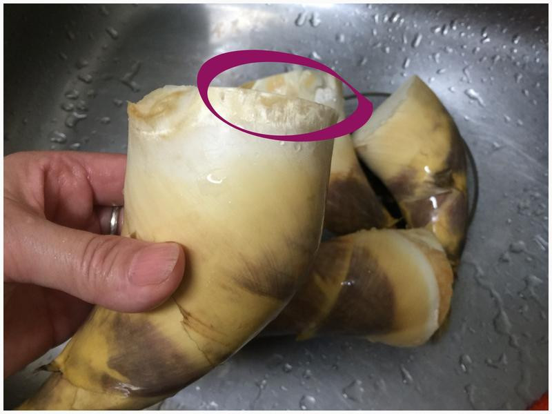 ���ɳ�����������