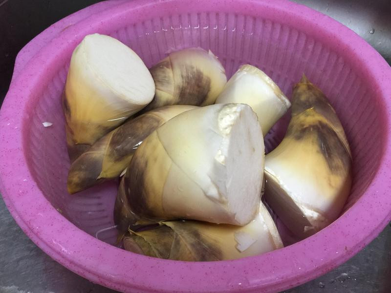 ���ɳ�����������