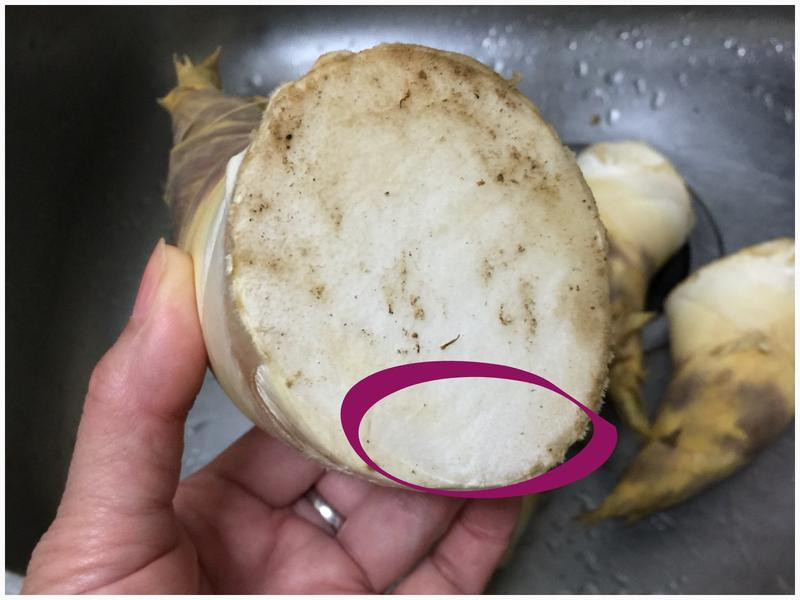 ���ɳ�����������